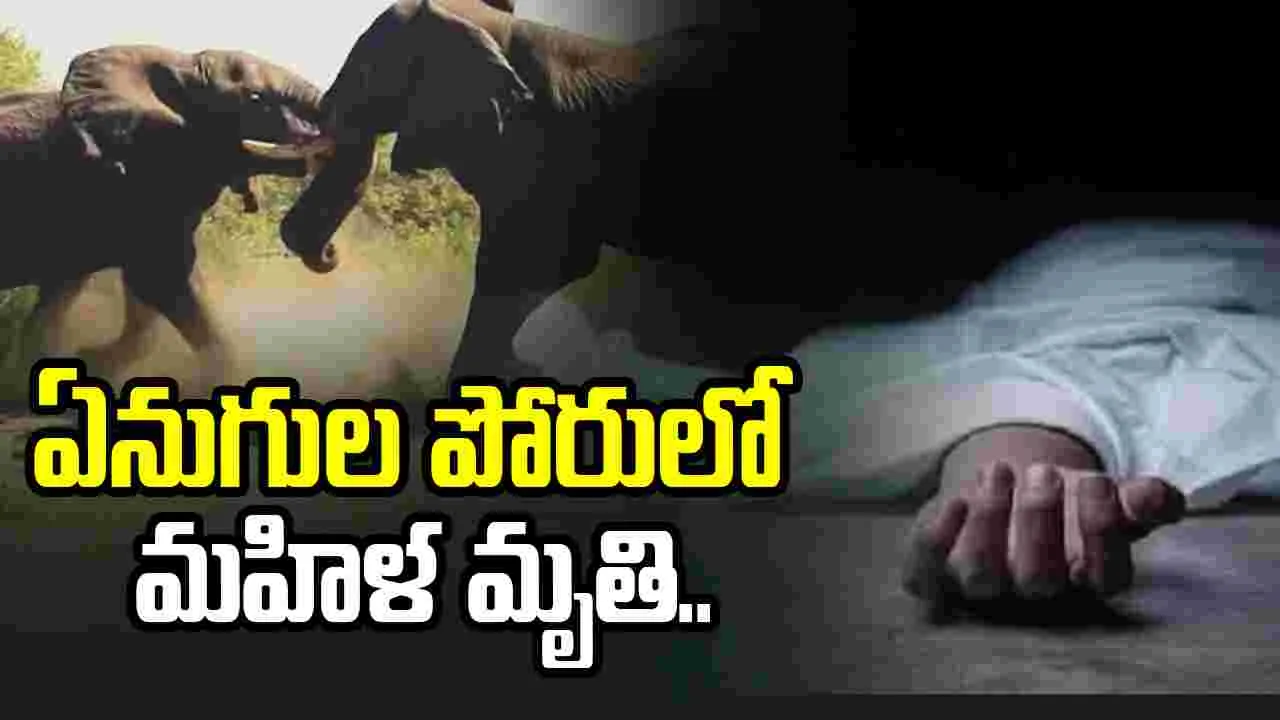  ఏనుగుల బీభత్సం.. మహిళ మృతి