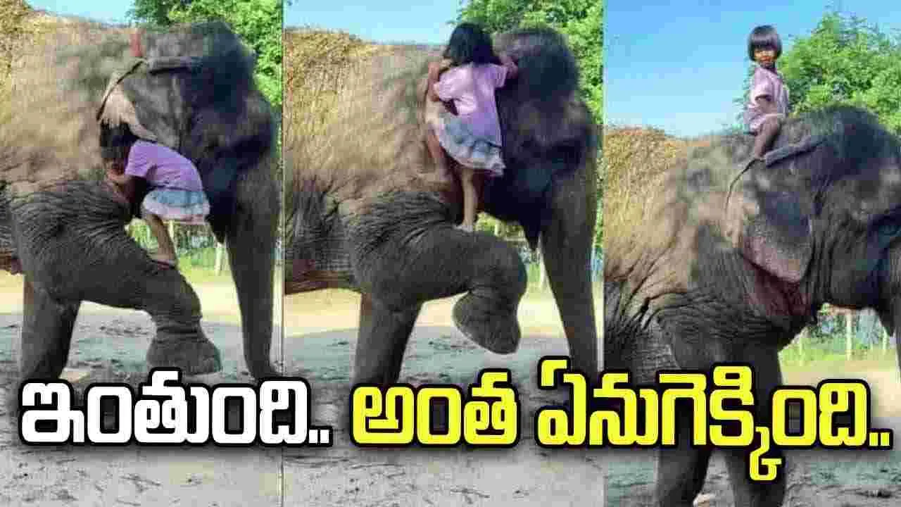 ఏనుగు పాదమే మెట్టైంది.. చిన్నారి సాహసం వీడియో వైరల్
