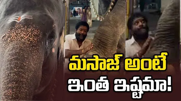 అడిగి మరీ మసాజ్ చేయించుకున్న ఏనుగు.. వైరల్ వీడియో