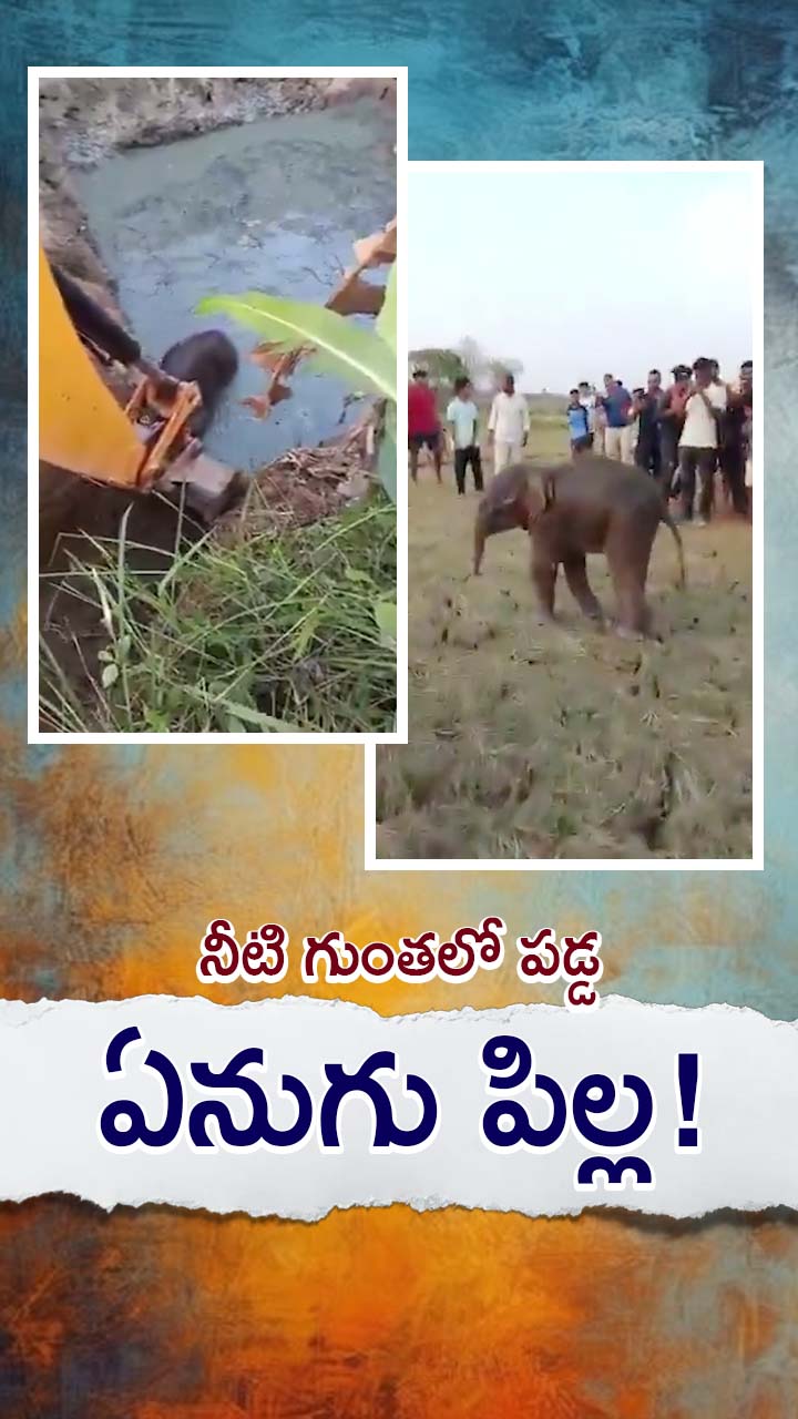 ఒడిశాలో ఏనుగు పిల్ల రెస్క్యూ ఆపరేషన్!