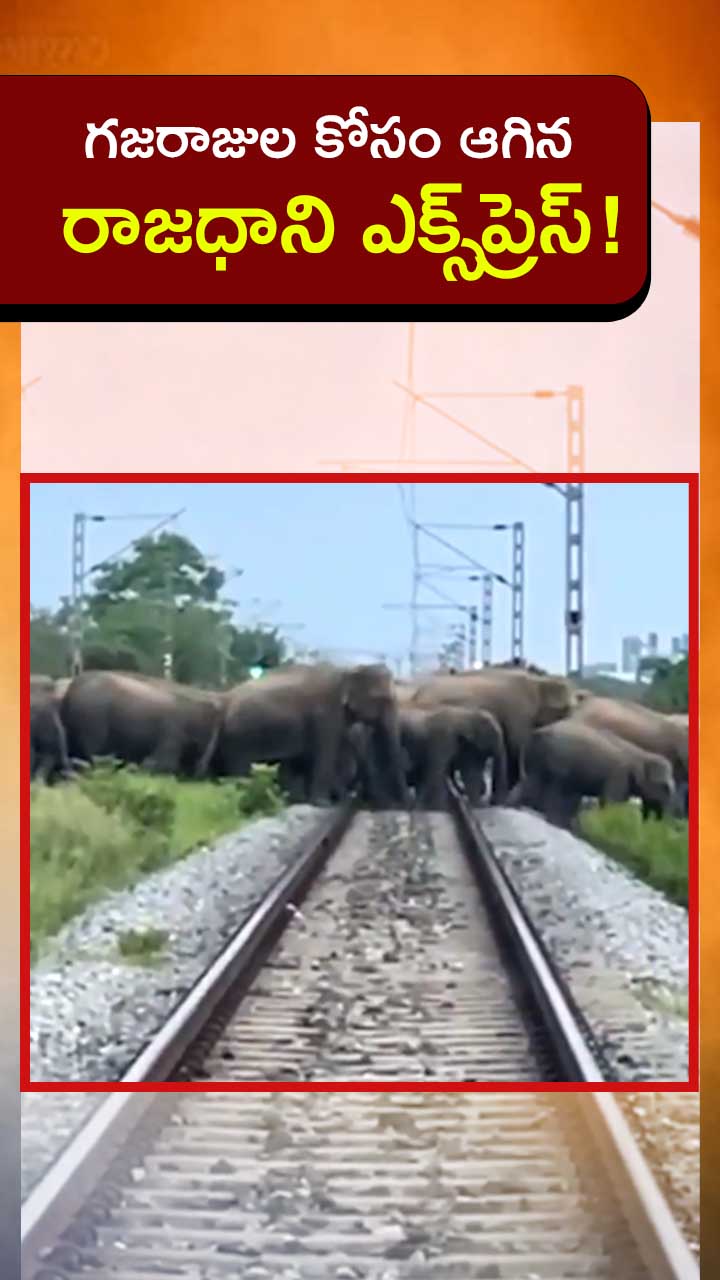ABN Andhrajyothy Telugu Short News Video - Quick News Updates in 60 Seconds