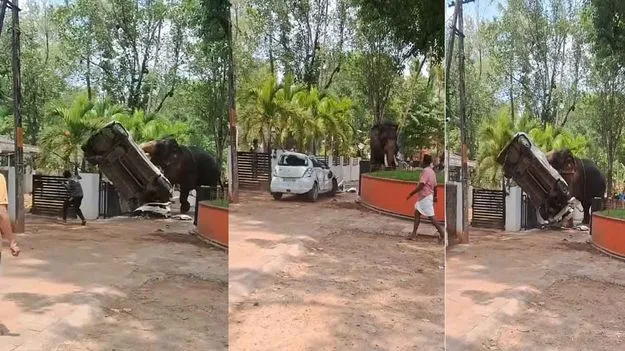 కారును ధ్వంసం చేసిన గజరాజు.. వీడియో వైరల్..