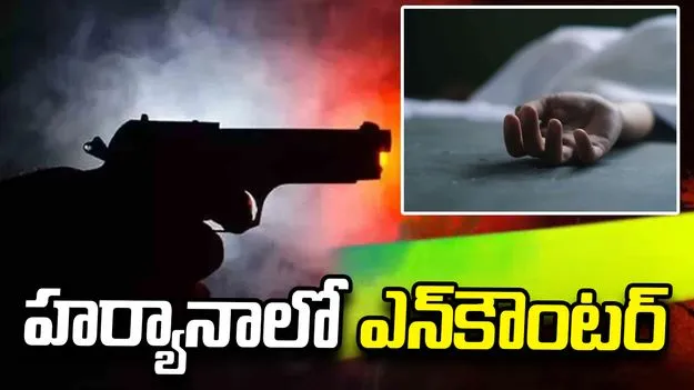 గురుగ్రామ్‌లో ఎన్‌కౌంటర్.. నలుగురు గ్యాంగ్‌స్టర్ల మృతి