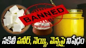 ఉత్తరాఖండ్‌ ప్రభుత్వం కీలక నిర్ణయం.. ఫేక్ పనీర్, నెయ్యి, వెన్నపై కొరడా