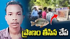 ప్రాణం తీసిన చేప.. యువకుడు నోటిలో పెట్టుకోగానే..