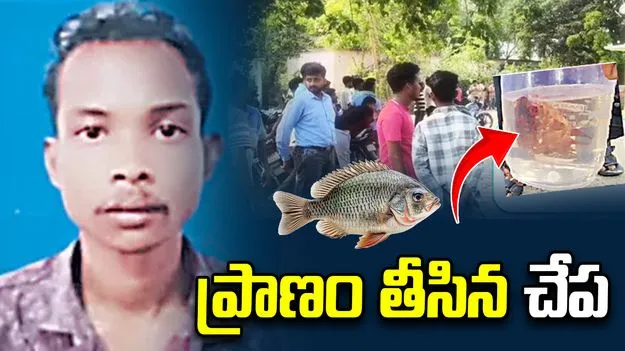 ప్రాణం తీసిన చేప.. యువకుడు నోటిలో పెట్టుకోగానే..