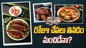 రోజూ చేపలు తినడం మంచిదేనా? 