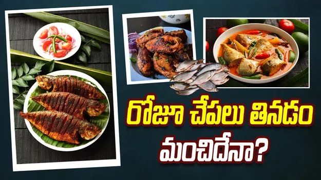 రోజూ చేపలు తినడం మంచిదేనా? 