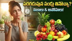 పరగడుపున పండ్లు తినవచ్చా? ఆరోగ్య నిపుణులు ఏం చెబుతున్నారంటే..!