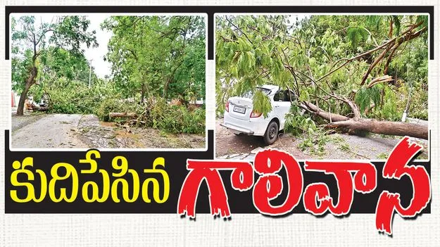 కుదిపేసిన గాలివాన