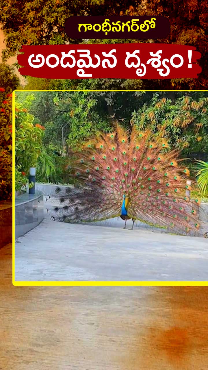 ABN Andhrajyothy Telugu Short News Video - Quick News Updates in 60 Seconds