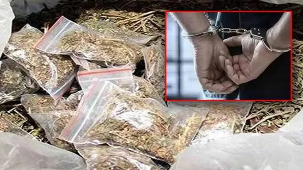 గంజాయి విక్రయిస్తున్న ముఠా అరెస్ట్