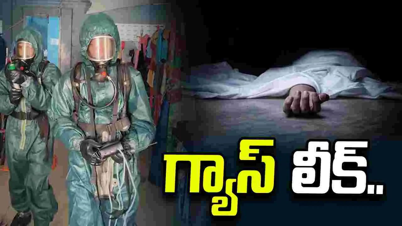తమిళనాడులో గ్యాస్ లీక్.. ఇద్దరి మృతి, 46 మందికి అస్వస్థత..