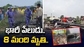 బాణసంచా కర్మాగారంలో భారీ పేలుడు.. 8 మంది మృతి..