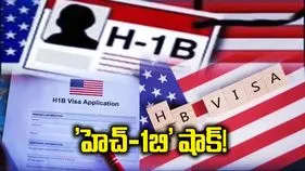 హెచ్-1బి వీసాలపై అమెరికా సెనేట్‌లో సంచలన బిల్లు.. మూడేళ్లపాటు పూర్తి విరామం?