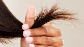 జుట్టు చివర్లు చిట్లిపోతున్నాయా? ఈ జాగ్రత్తలు తీసుకోండి