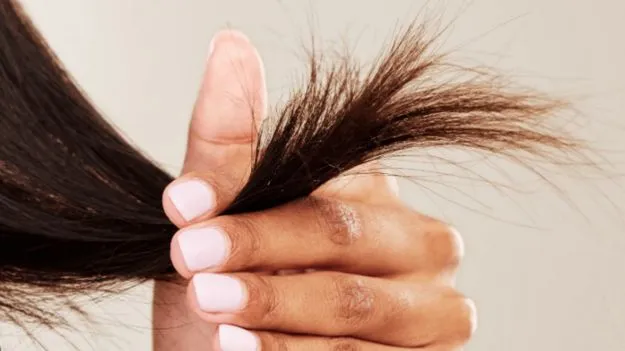 జుట్టు చివర్లు చిట్లిపోతున్నాయా? ఈ జాగ్రత్తలు తీసుకోండి