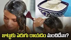 జుట్టుకు పెరుగు రాయడం మంచిదేనా?