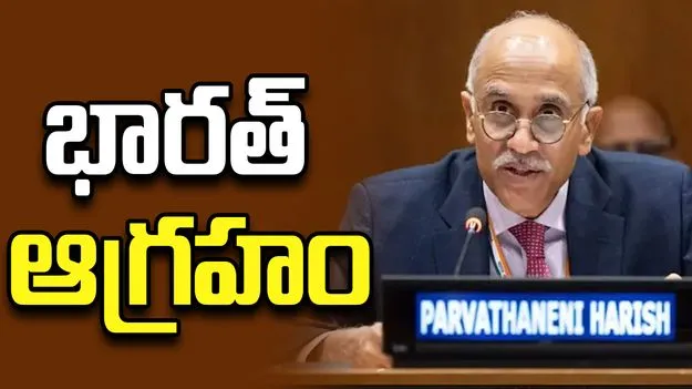 ఐరాస విడుదల చేసిన ‘ఎలిమెంట్స్ పేపర్’పై భారత్ ఆగ్రహం