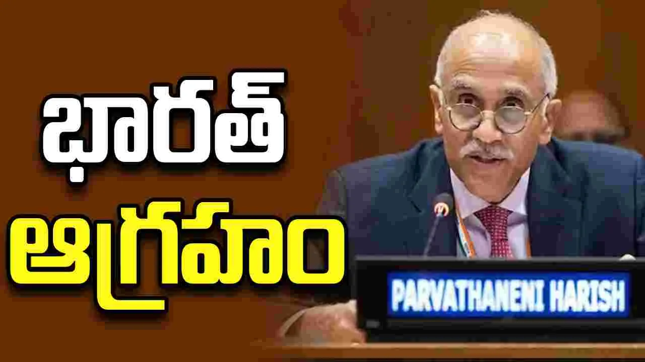 ఐరాస విడుదల చేసిన ‘ఎలిమెంట్స్ పేపర్’పై భారత్ ఆగ్రహం