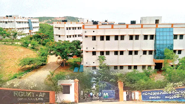 ‘ట్రిపుల్‌ ఐటీ’లో సిక్కోలు సత్తా