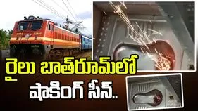 రైలు బాత్‌రూమ్‌లో షాకింగ్ సీన్.. వీడియో వైరల్