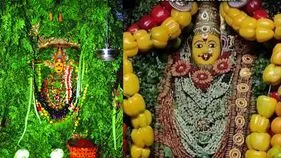 విజయవాడ ఇంద్రకీలాద్రిలో ముగిసిన శాకంబరీ ఉత్సవాలు..