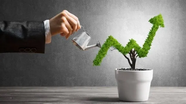 రిస్క్ తీసుకున్న ఫలితం.. రూ.20 లక్షలతో 3 కోట్ల సంపద సొంతం