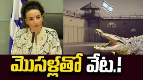 జైలు నుంచి పారిపోవాలని చూస్తే మొసళ్లతో వేట.. ఇజ్రాయెల్‌లో సంచలన చట్టం!