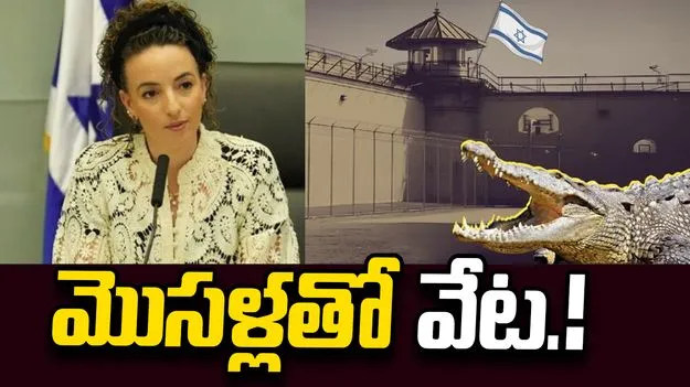 జైలు నుంచి పారిపోవాలని చూస్తే మొసళ్లతో వేట.. ఇజ్రాయెల్‌లో సంచలన చట్టం!