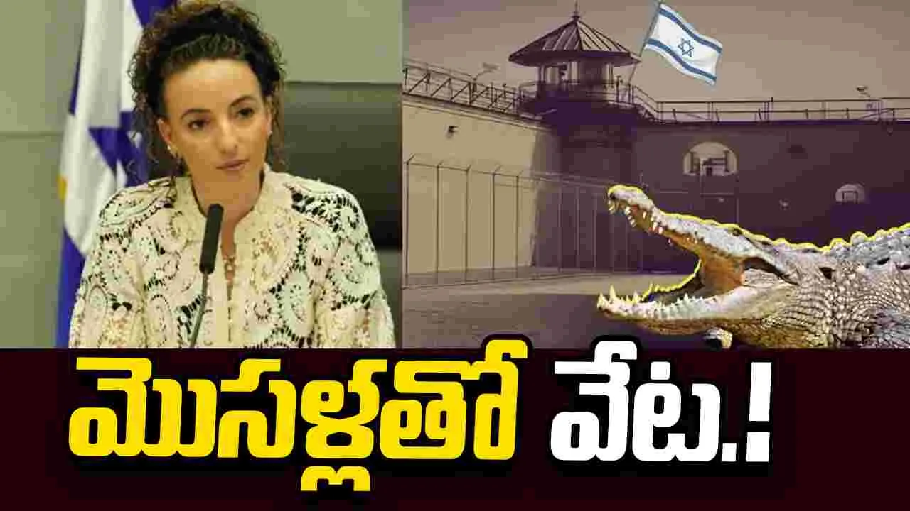 జైలు నుంచి పారిపోవాలని చూస్తే మొసళ్లతో వేట.. ఇజ్రాయెల్‌లో సంచలన చట్టం!