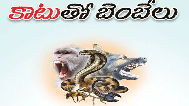 ‘కాటు’తో బెంబేలు