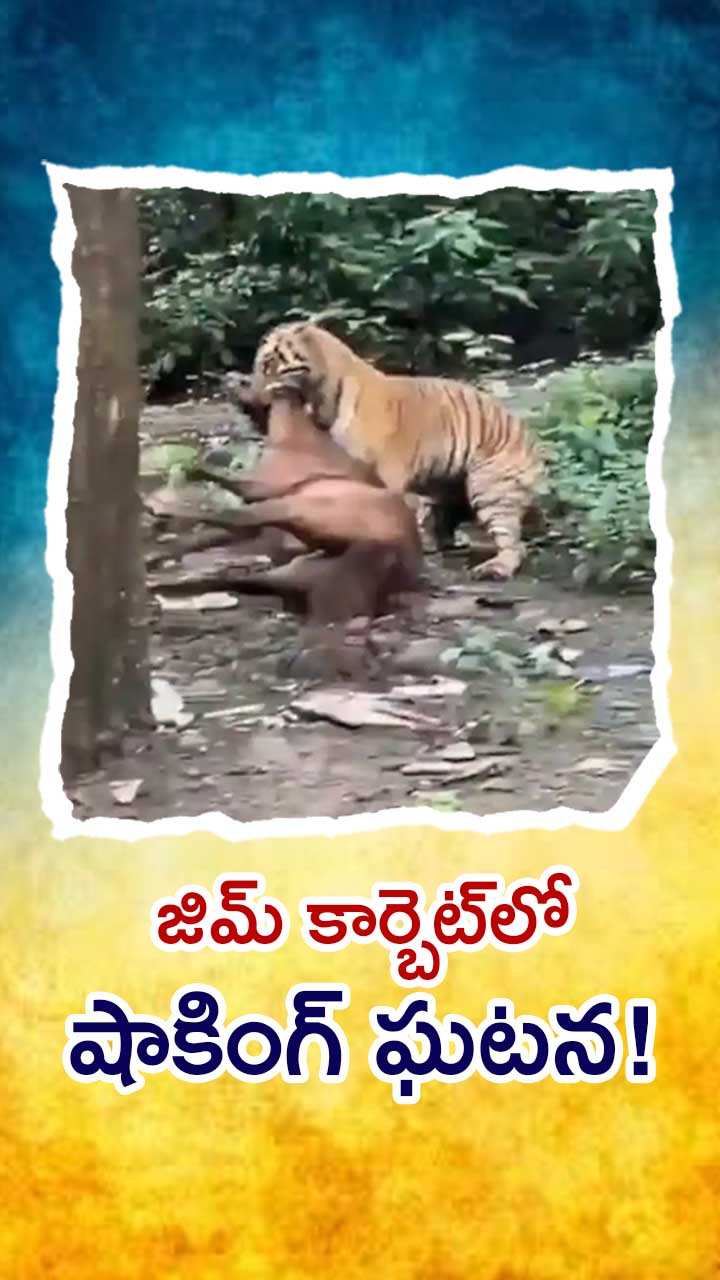 ABN Andhrajyothy Telugu Short News Video - Quick News Updates in 60 Seconds