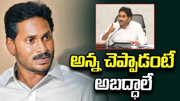 అన్న చెప్పాడంటే అబద్ధాలే 