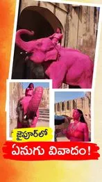 ABN Andhrajyothy Telugu Short News Video - Quick News Updates in 60 Seconds