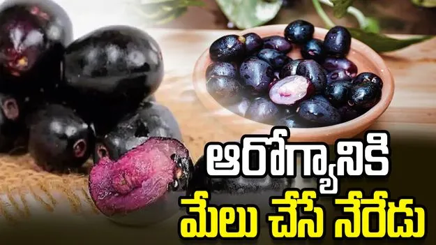 వేసవిలో  నేరేడు పండ్లతో ఇన్ని లాభాలా..! తెలిస్తే అస్సలు వదలరు.