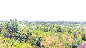 నెల్లూరు జిల్లాలో ప్రభుత్వ భూమిపై వైసీపీ భూ కబ్జాదారుల కన్ను