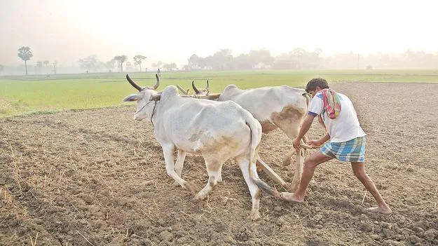 ఏరువాక సాగారో..