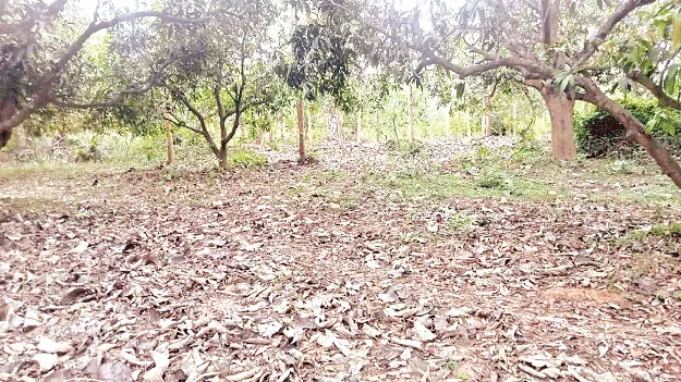 There is land.. no guarantee భూమి ఉంది.. భరోసా లేదు