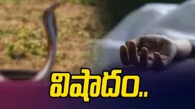 పాము కాటుకు గురైన బాలిక.. ఆస్పత్రికి తరలించే లోపే..