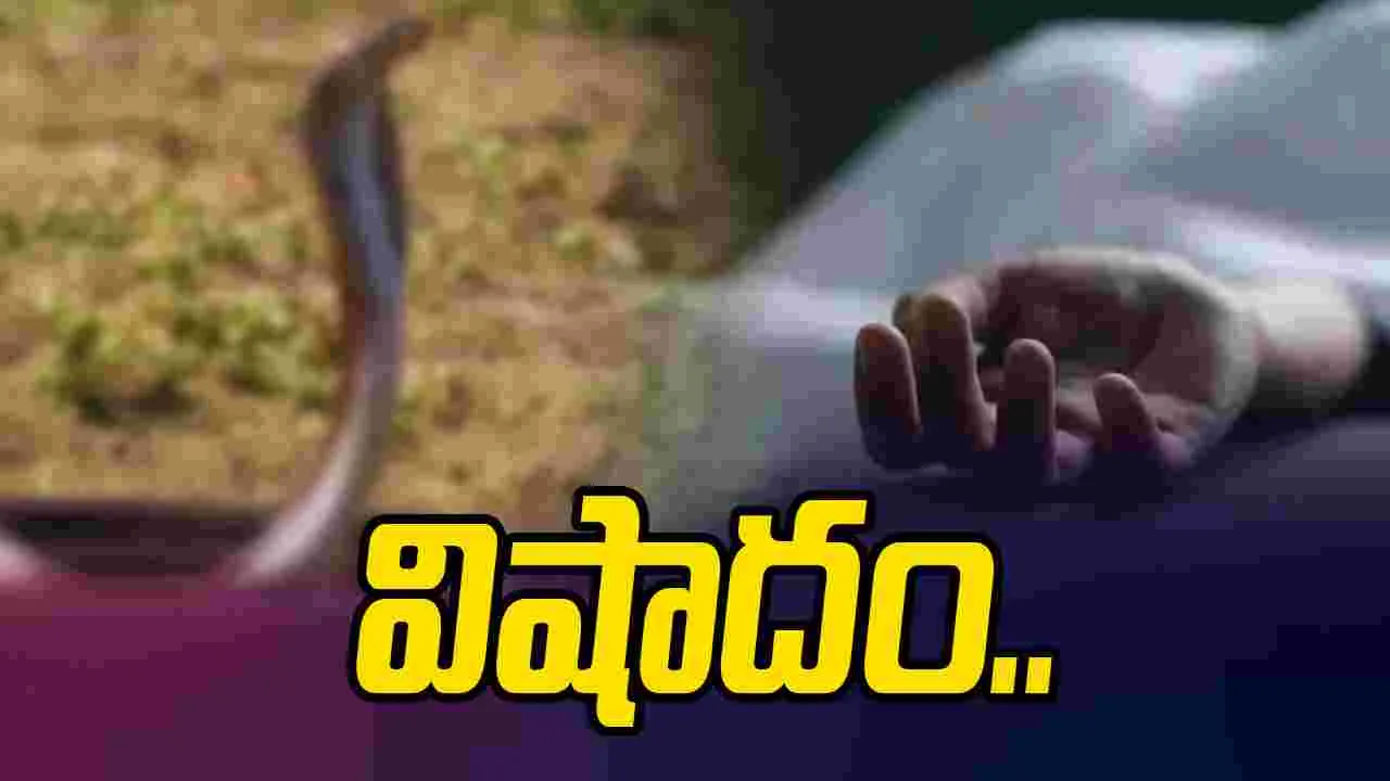 పాము కాటుకు గురైన బాలిక.. ఆస్పత్రికి తరలించే లోపే..