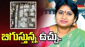 అక్రమాస్తుల కేసు.. ఏసీబీ కస్టడీకి దేవాదాయ శాఖ అధికారిణి శాంతి?