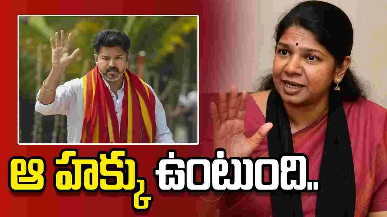 విజయ్ టీవీకేతో కాంగ్రెస్ పొత్తుపై కనిమొళి కీలక వ్యాఖ్యలు