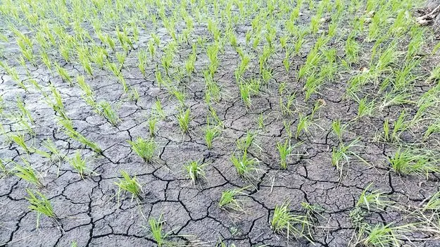 ఆగస్టులోనూ అంతంతే