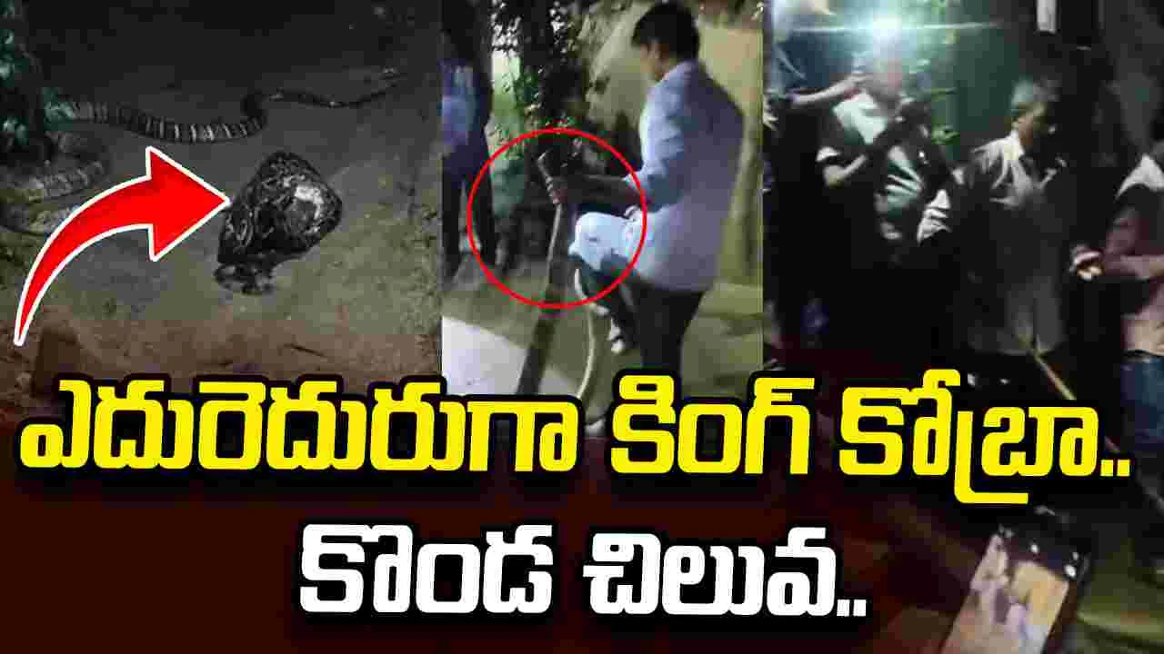 పాము పగబట్టిందా ఏంటీ.. మళ్లీ అదే ఇంటికి కొండచిలువతో వచ్చింది.. వీడియో వైరల్