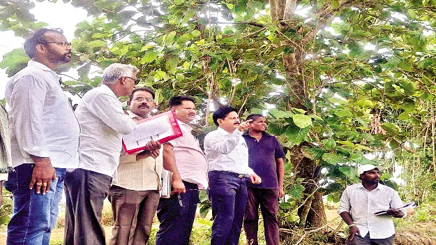 భూ సర్వే ప్రక్రియ వేగవంతానికి చర్యలు