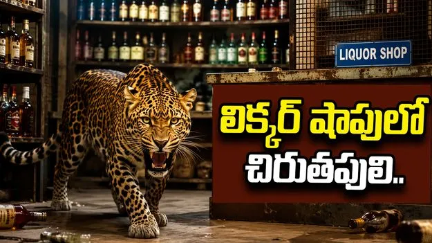 లిక్కర్ షాపులోకి చొరబడ్డ చిరుతపులి.. సీసీటీవీ కెమెరాలో రికార్డైన భయానక దృశ్యాలు..