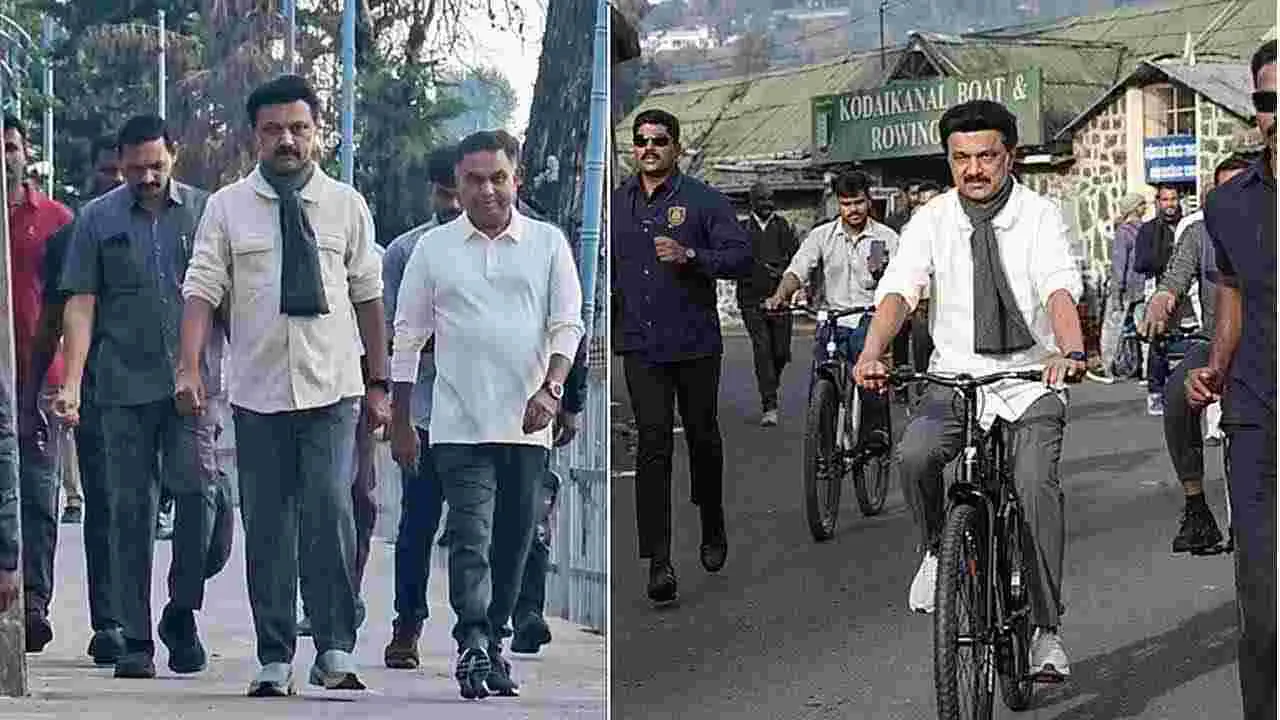 కొడైకెనాల్‌లో సైక్లింగ్‌తో సందడి చేసిన సీఎం స్టాలిన్