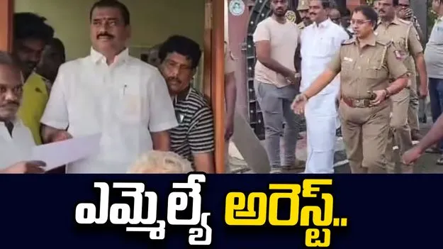 సీఎం విజయ్‌పై తీవ్ర వ్యాఖ్యలు.. ఎమ్మెల్యేను అరెస్టు చేసిన పోలీసులు..
