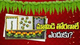 గుమ్మానికి మామిడి ఆకులు ఎందుకు కడతారో తెలుసా? సైన్స్ ఏం చెబుతోంది..